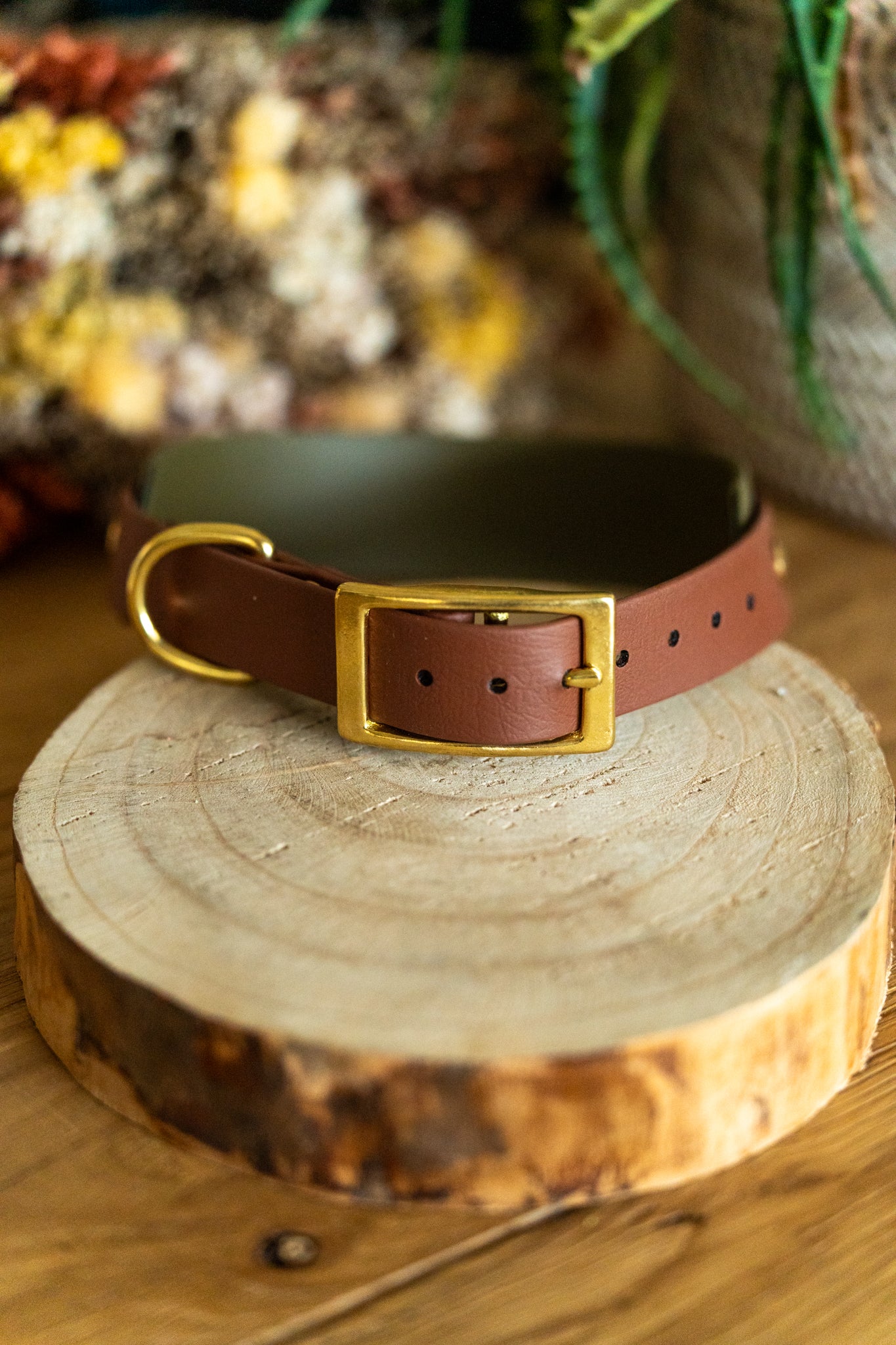 Indie : 50-60 cm Marron / Militaire
