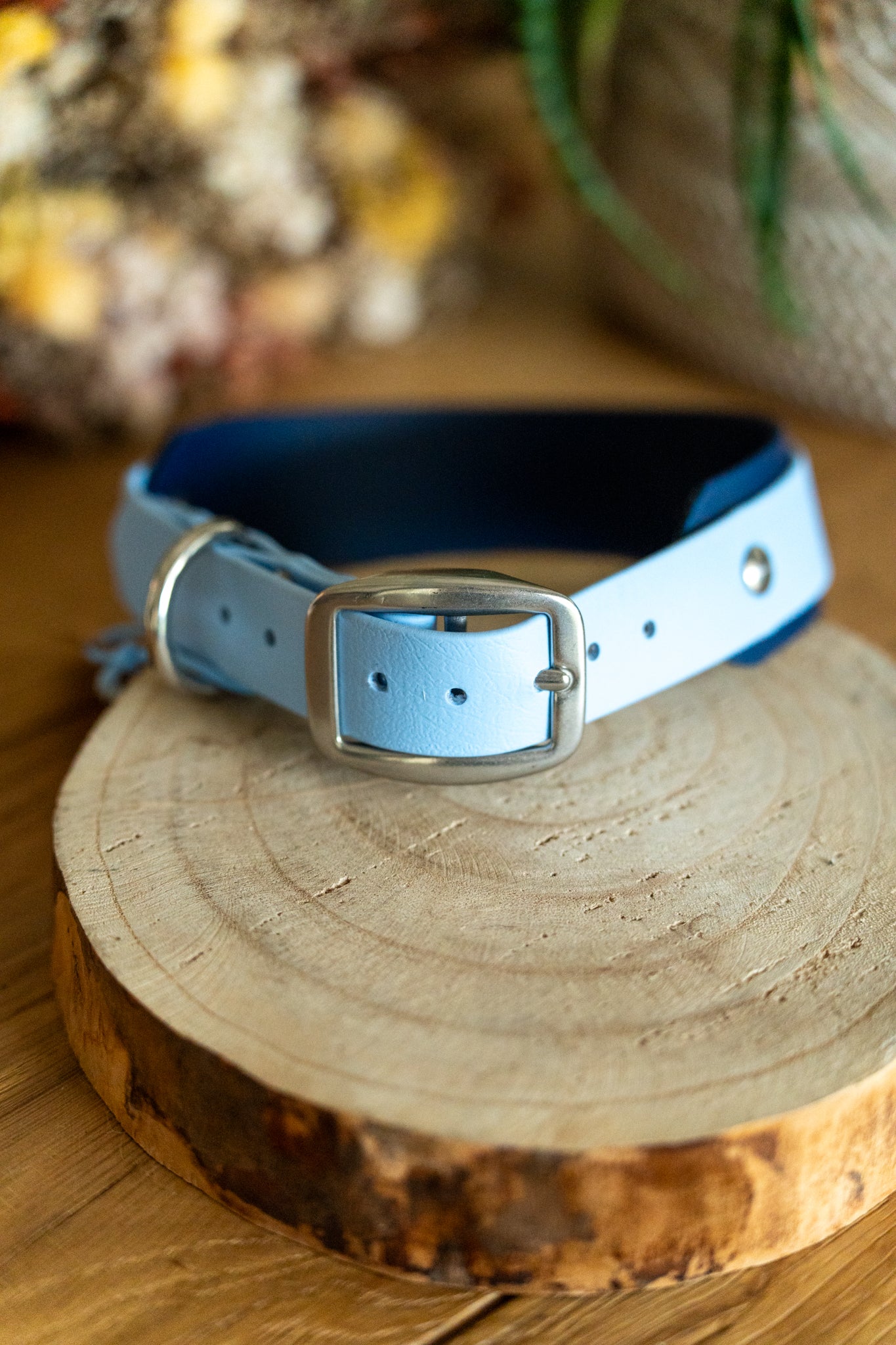 Indie : 40-50 cm Polaire/Bleu