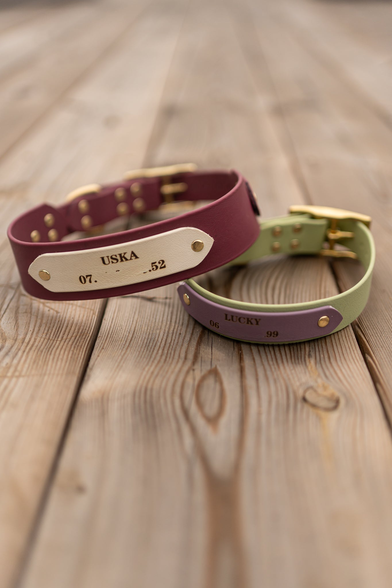 Collier en Biothane d'identification