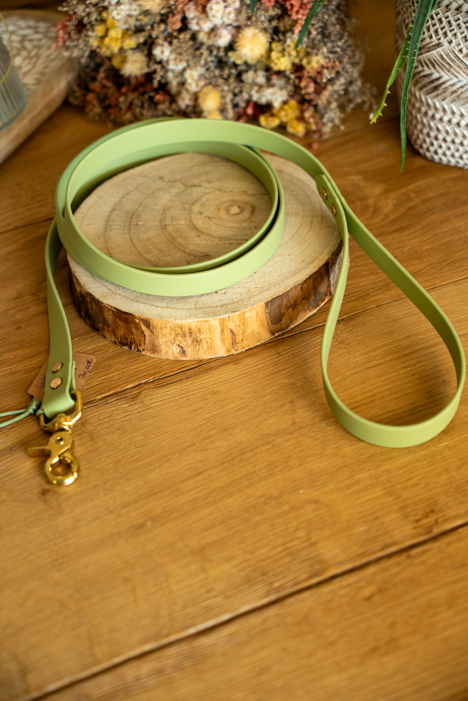 Laisse Biothane 1m60 - Guacamole