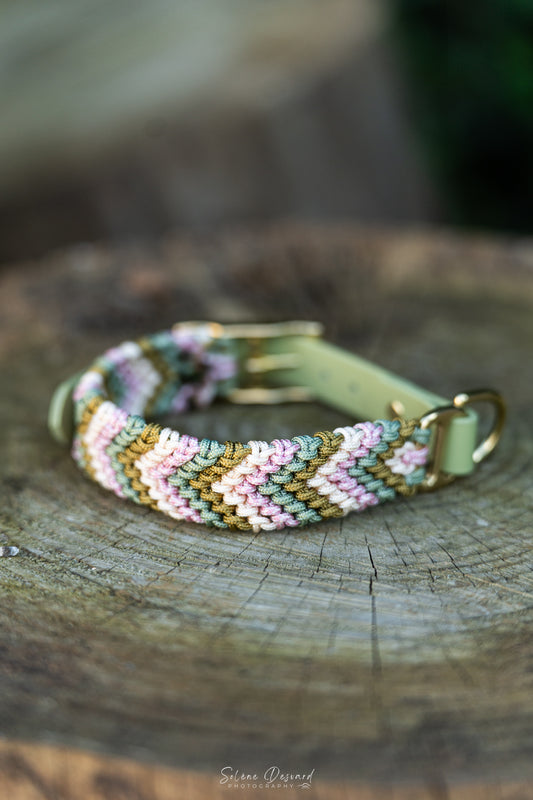 Rainbow - Petite taille
