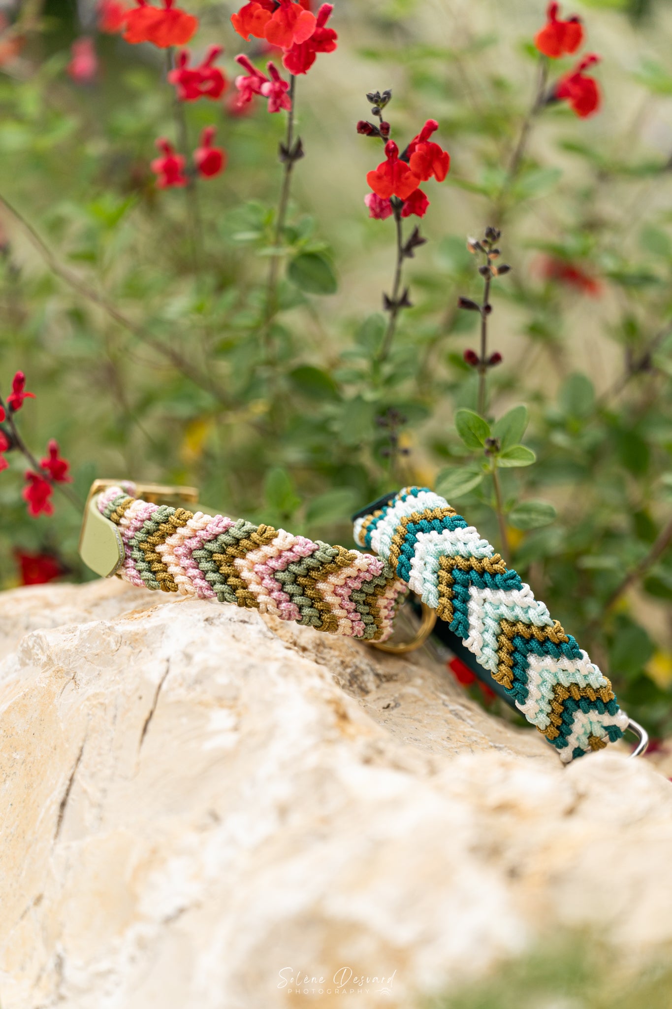 Rainbow - Petite taille