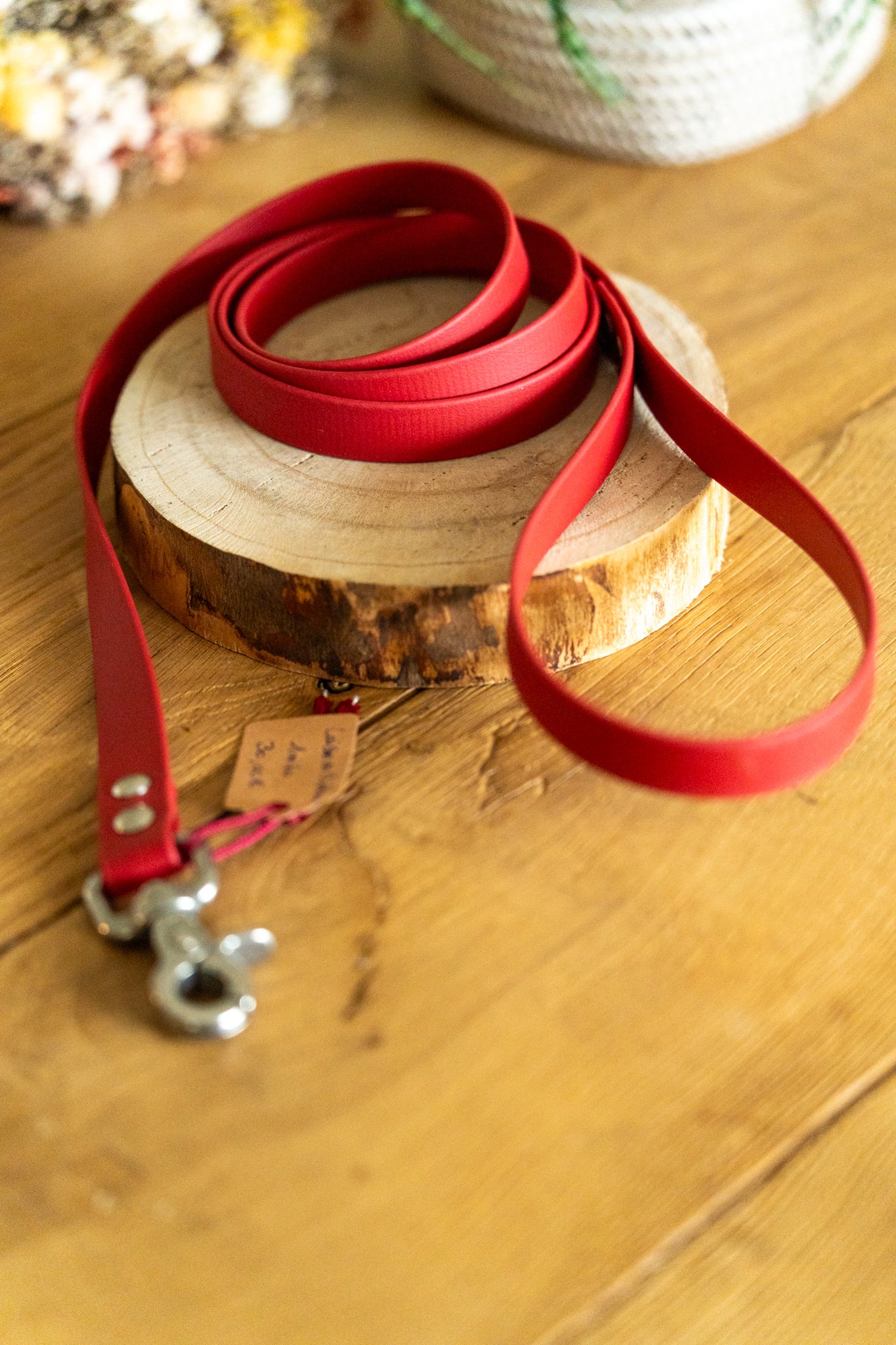 Laisse  Biothane 1m60 - Crimson rouge