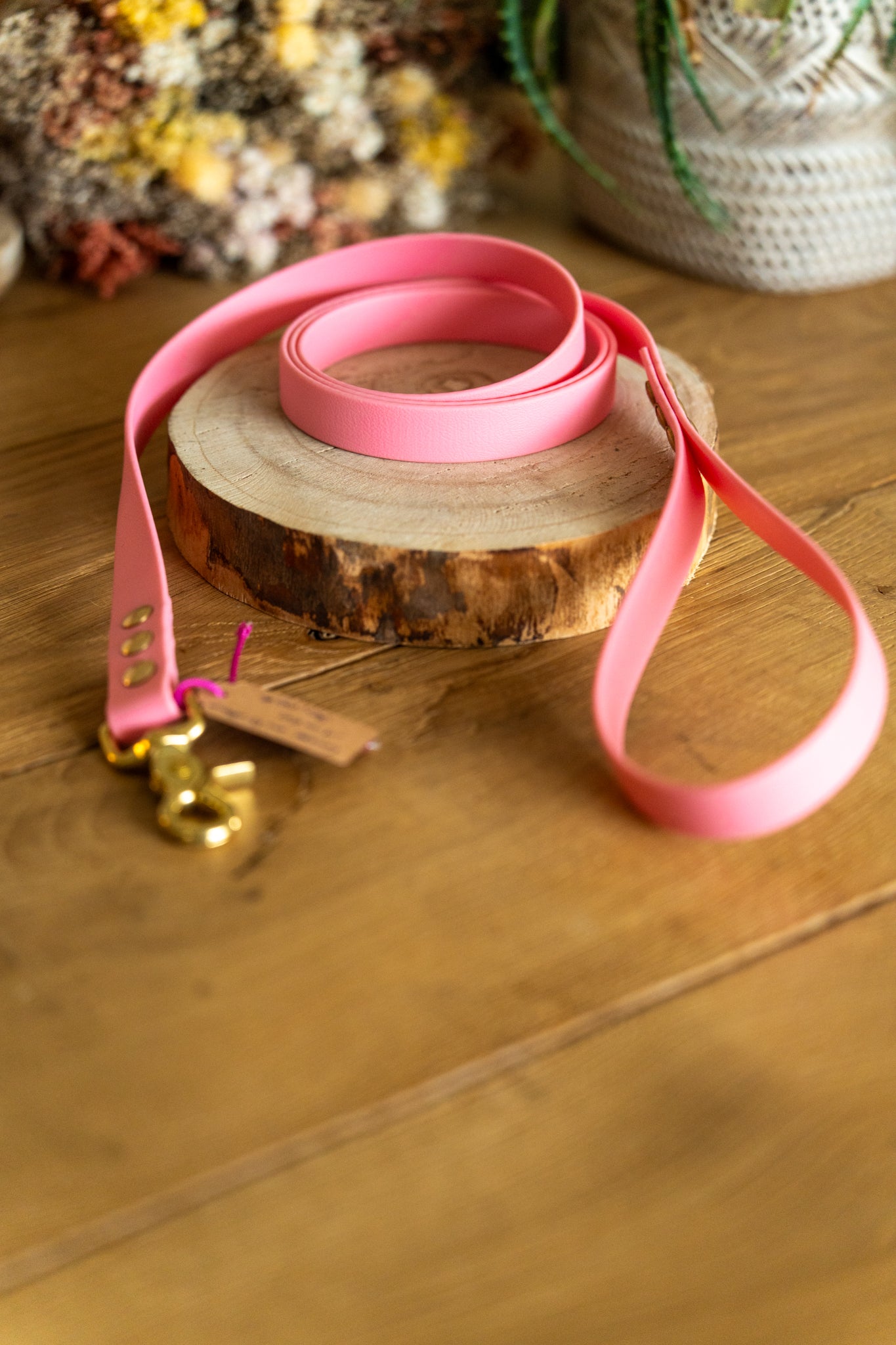 Laisse  Biothane 1m60 - Pastel Rose