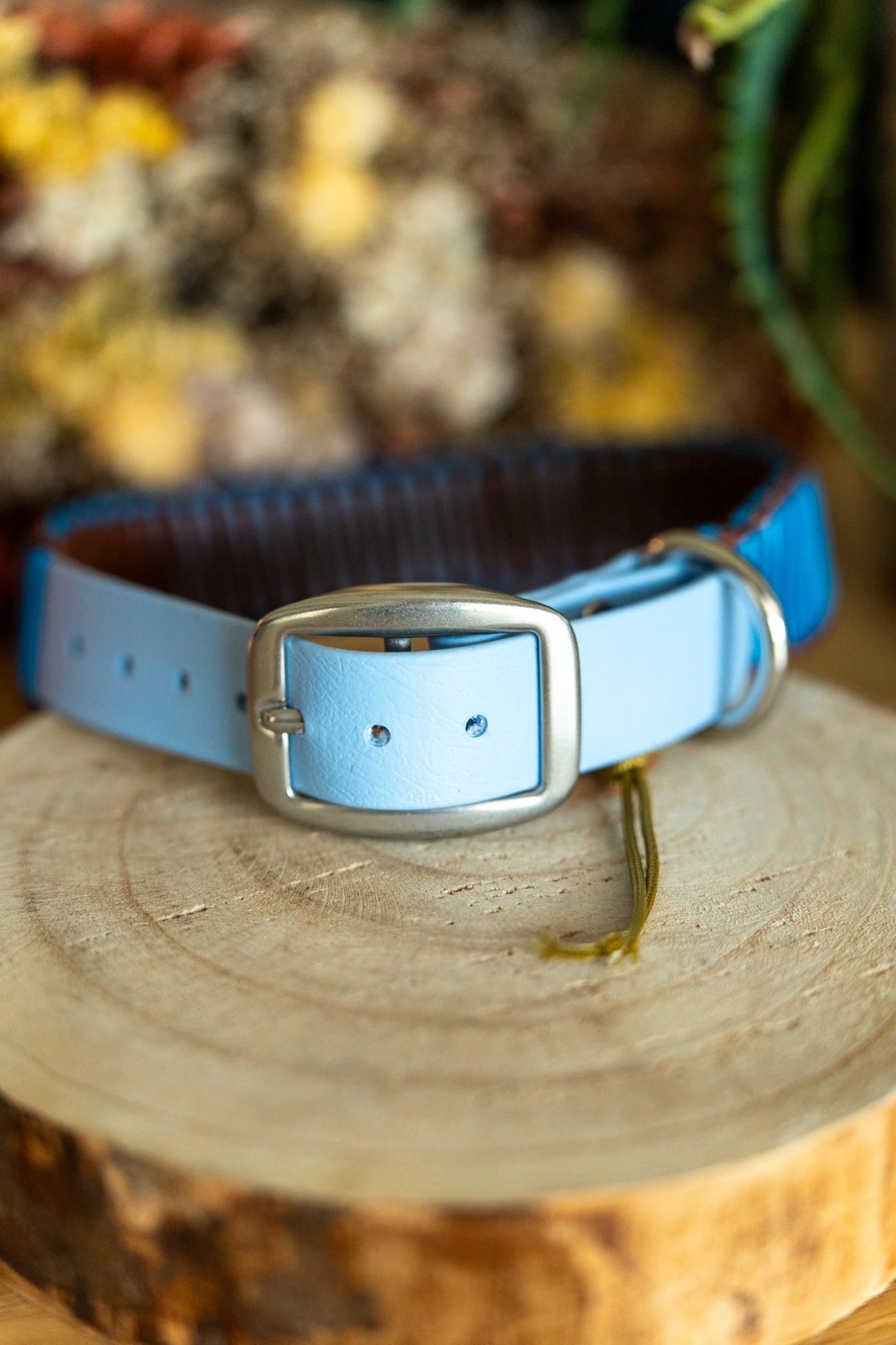 Sienna : 40-50 cm - Bleu polaire