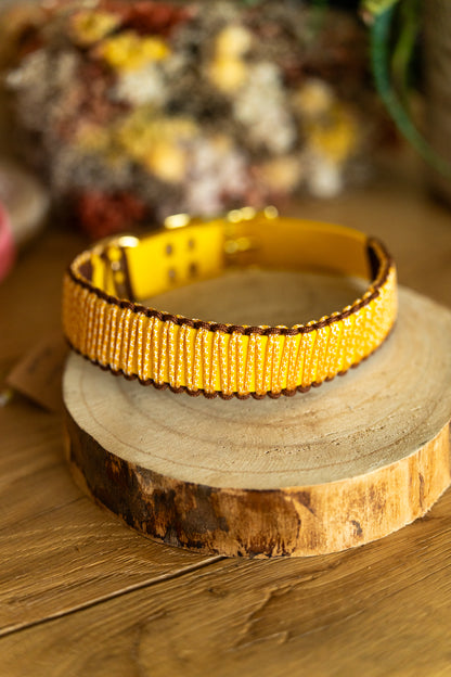 Sienna : 40-50 cm Jaune