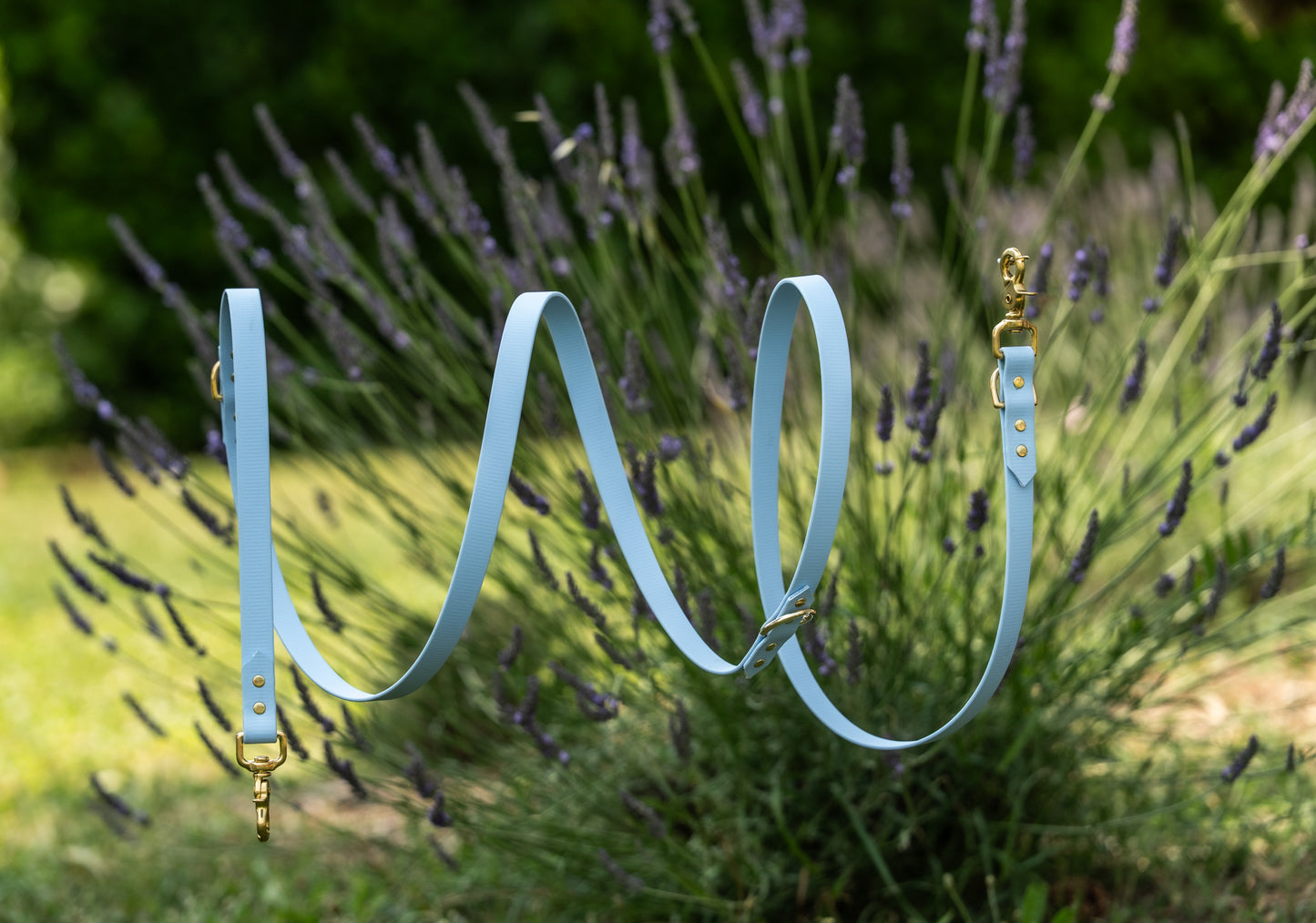 Laisse multi-positions