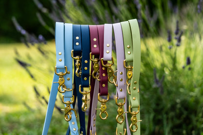 Laisse multi-positions