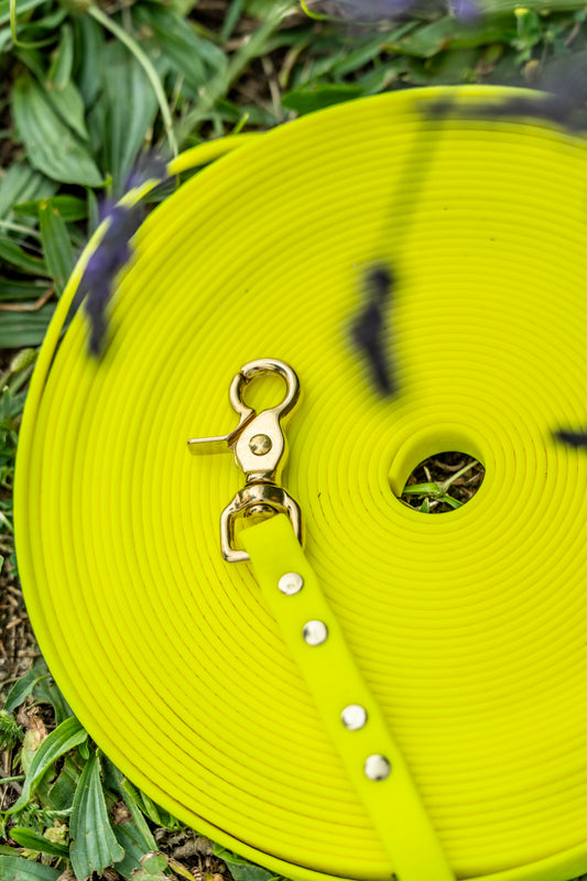 Longe en sangle Hexa 5m - Jaune