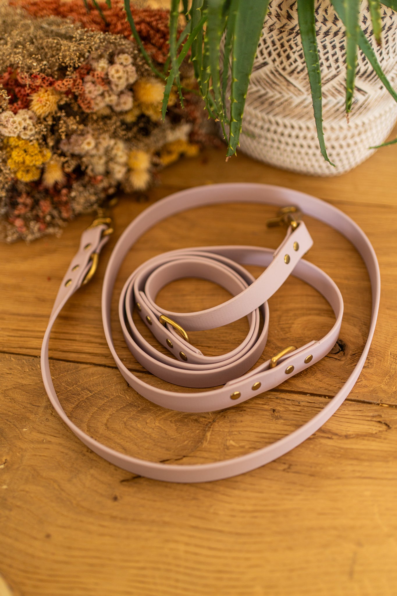 Laisse multi-positions