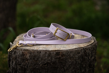 Starter Pack Chiot / Chien