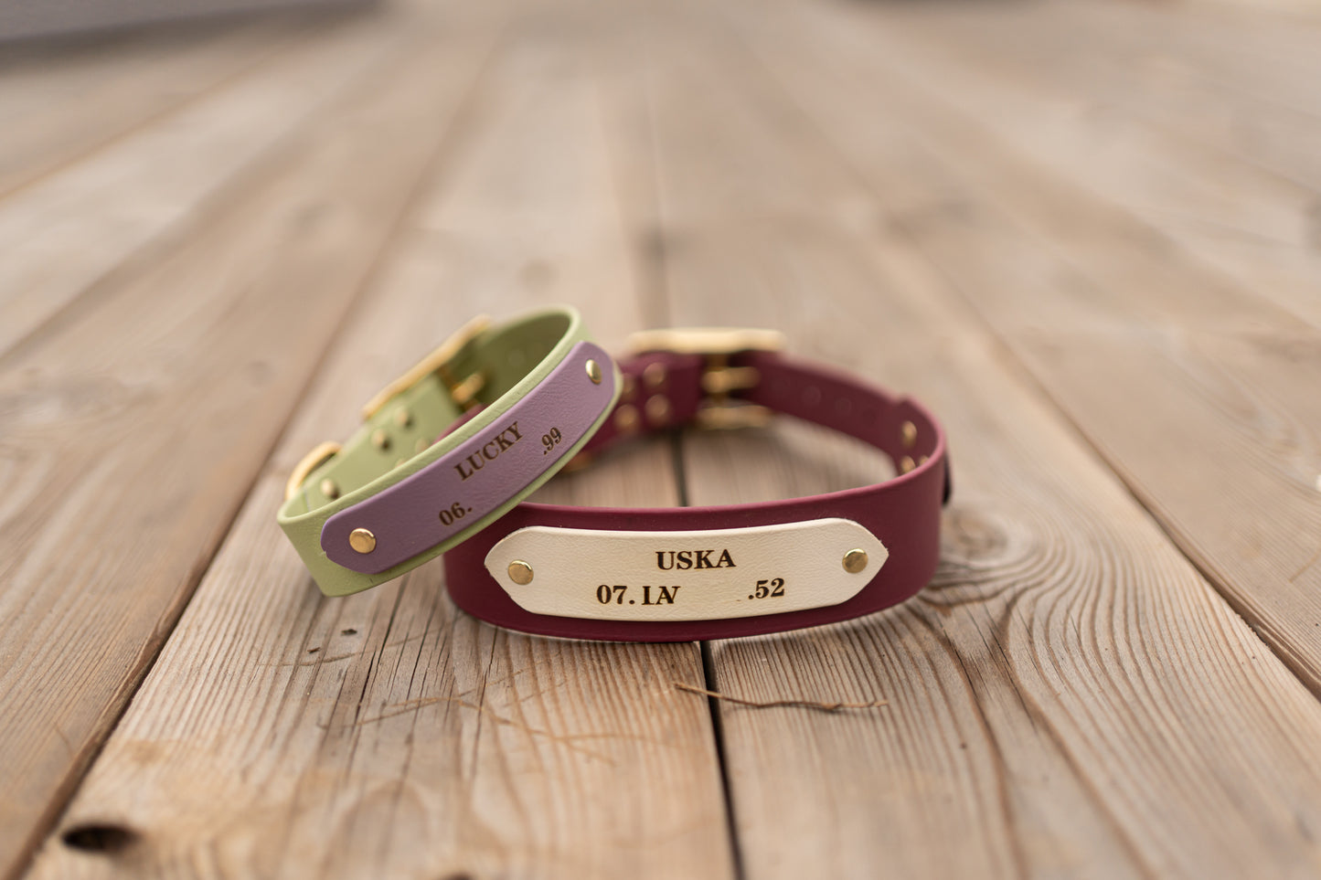 Collier en Biothane d'identification