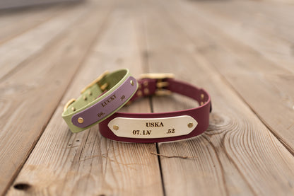 Collier en Biothane d'identification