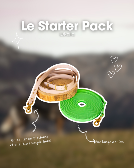 Starter Pack Chiot / Chien