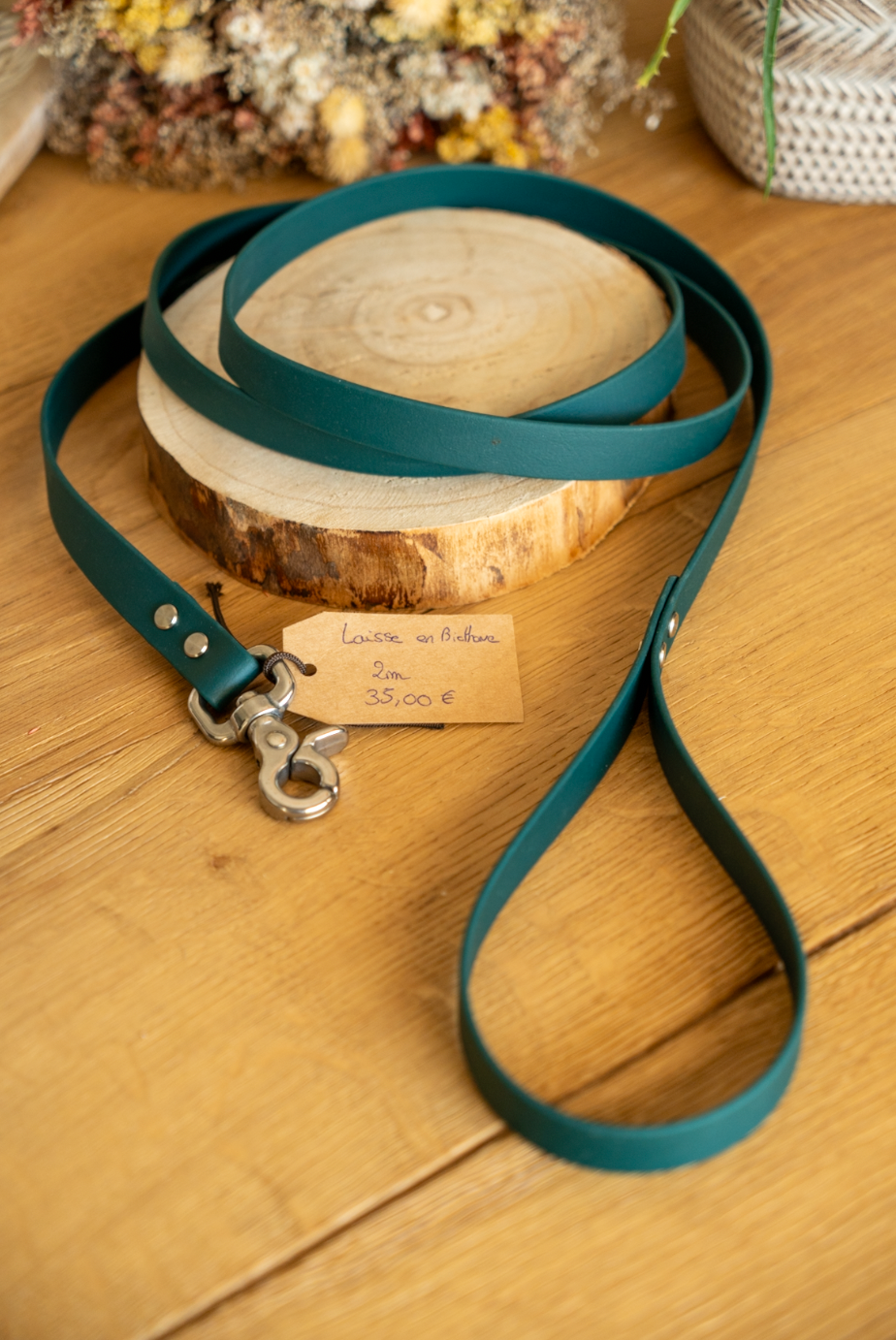 Laisse  Biothane 2m - Vert sapin