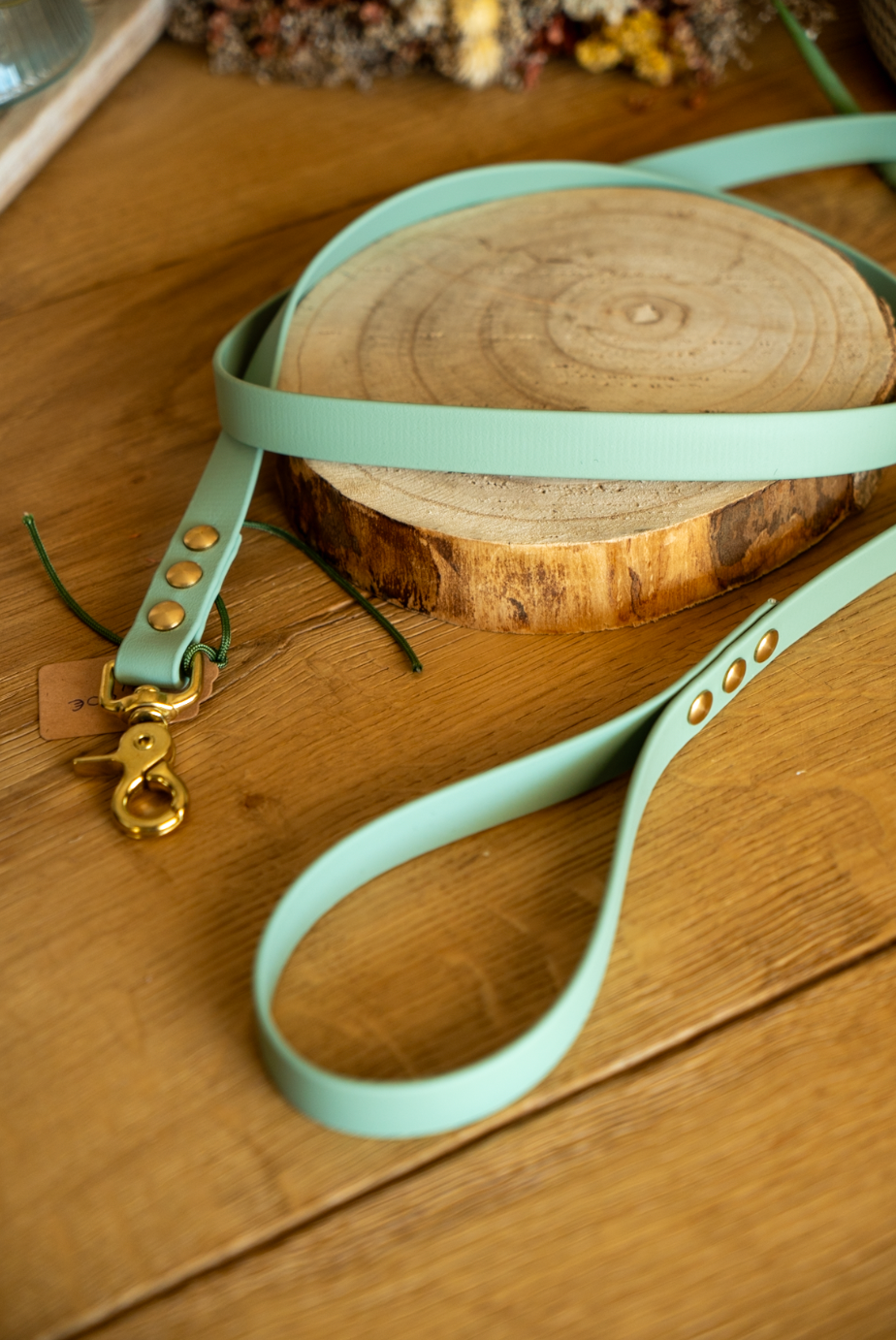 Laisse  Biothane 1m60 - Vert sage