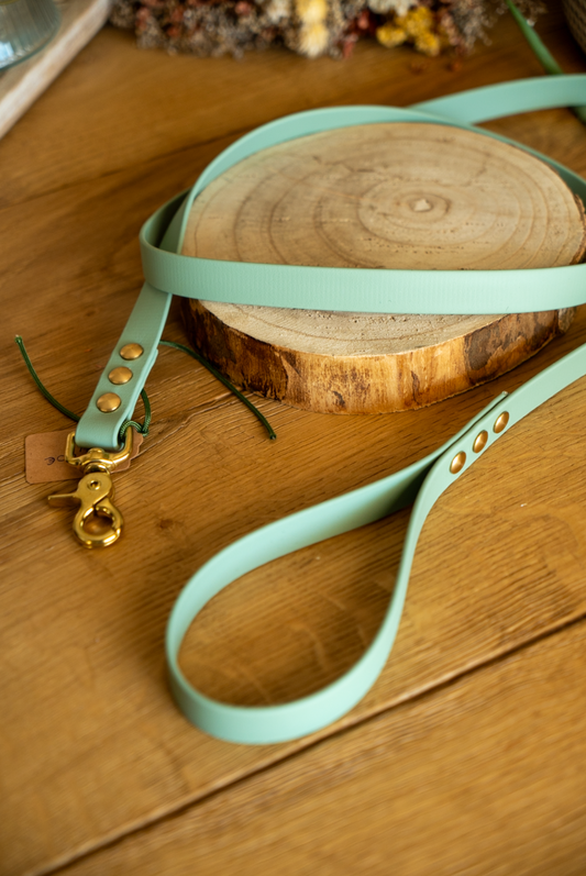 Laisse  Biothane 1m60 - Vert sage