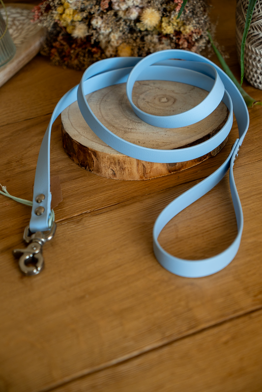 Laisse  Biothane 1m60 - Bleu polaire