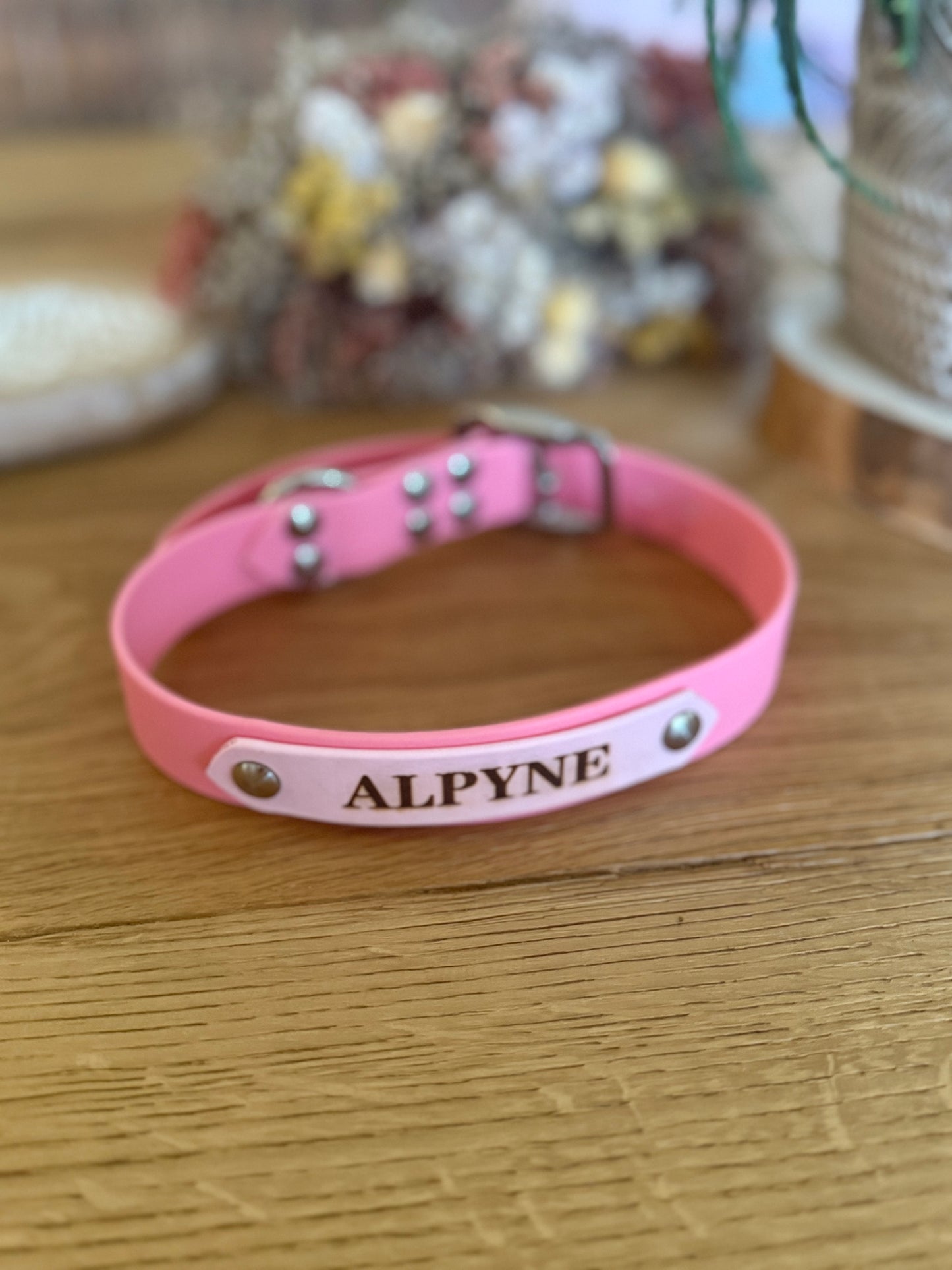 Collier en Biothane d'identification