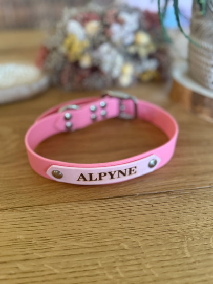 Collier en Biothane d'identification