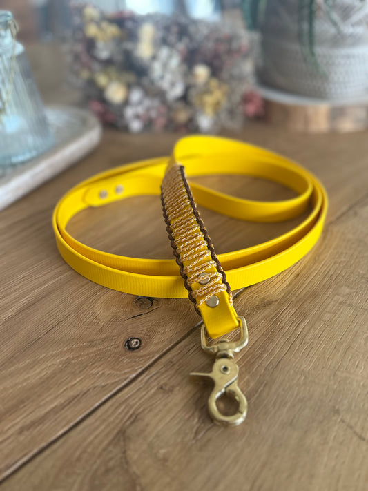 Laisse en Biothane - Sienna